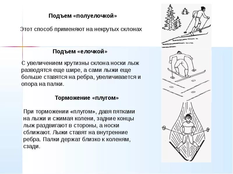 Техника подъема елочкой и полуелочкой. Техника подъема на склон полуелочкой. Подъем полуелочкой на лыжах техника. Торможение плугом на лыжах техника.