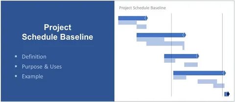 Project means