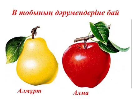 Өте үлкен мүшесі арық азиялық әйелді трахает