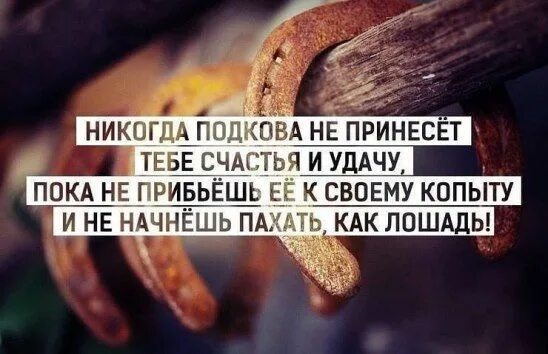 Пока он не принесет