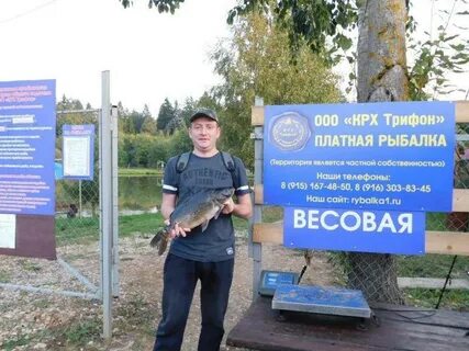 Платный форум сайта