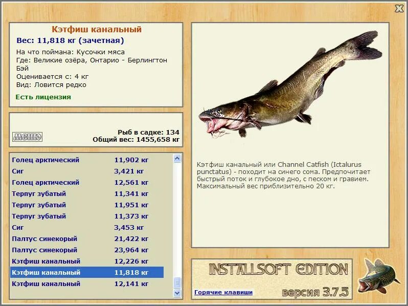 авито максимальный вес