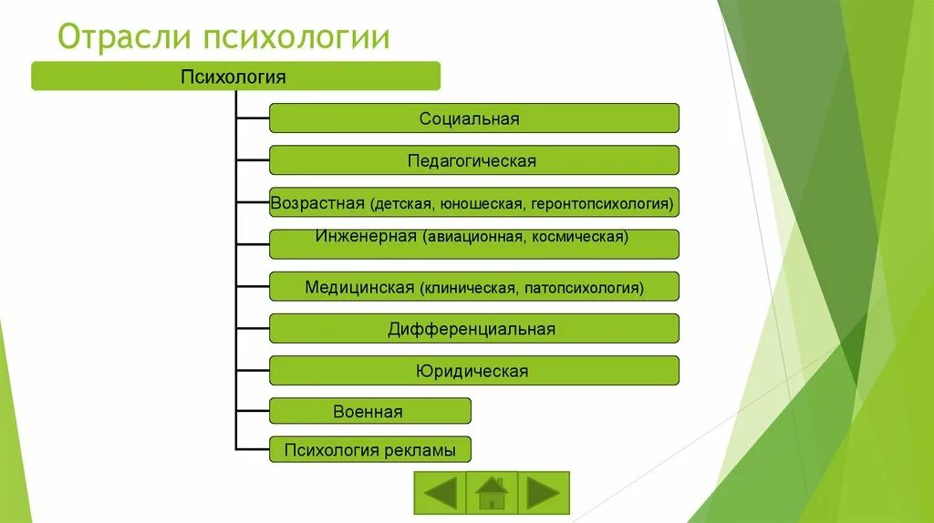 Специальные отрасли психологии схема. Отрасли психологического знания. Фундаментальные отрасли психологии. Отрасли психологического знания. Уровни психологического знания.