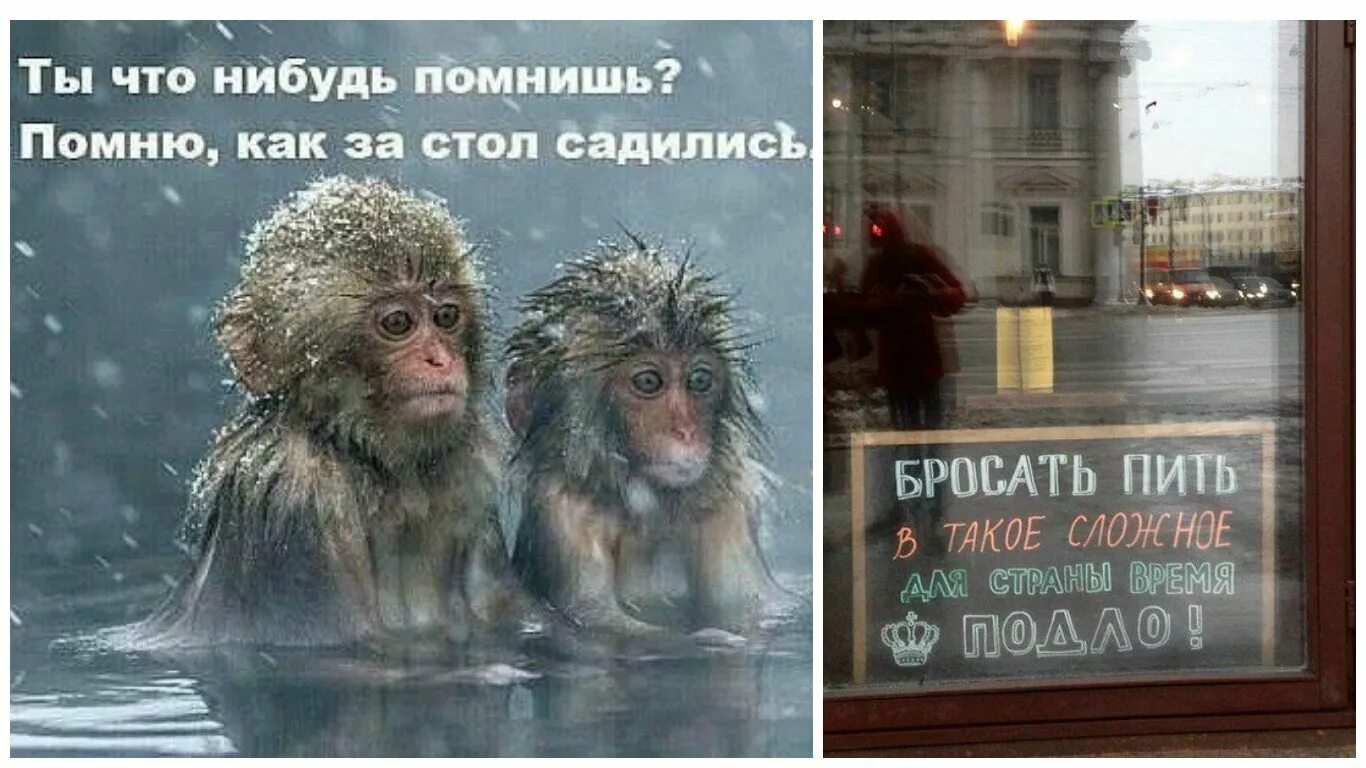 Я не помню как ты выглядишь одетой. Помню как за стол садились. помню как за стол садились обезьяны. помню как за стол садились картинки. ты что нибудь помнишь.