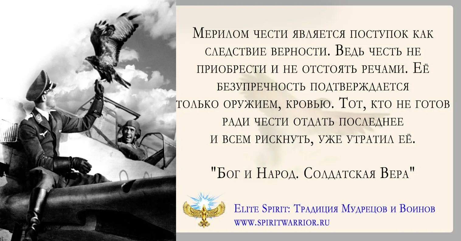Моя честь цитаты. Цитаты про войну.
