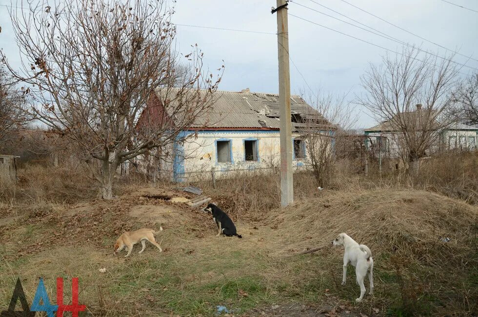 Петровское лнр. Село петровское старобешевский район донецкая область. Курская область курский район деревня петровское. Село петровское днр. Село петровское волновахского района донецкой.