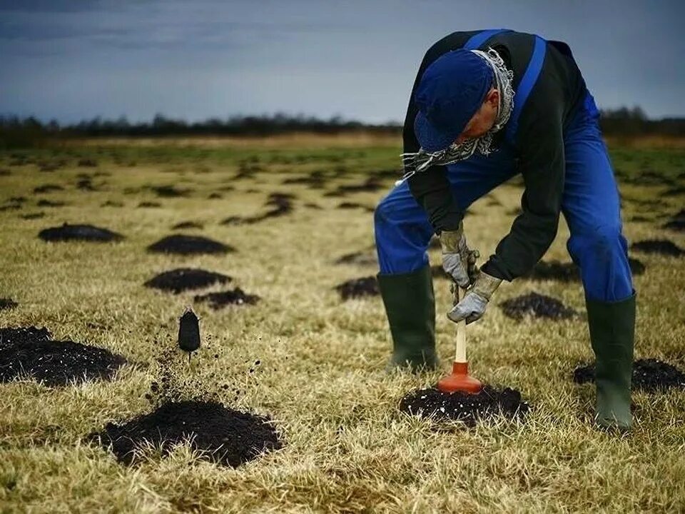 Кроты на участке как избавиться народные средства. Борьба с кротами на участке. Борьба с кротами на дачном участке. Методы борьбы с кротами на приусадебном участке. Уничтожение кротов.