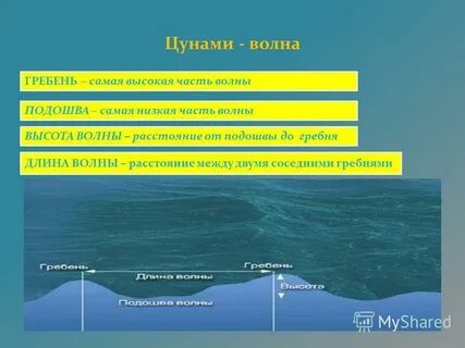 Какая высота волн