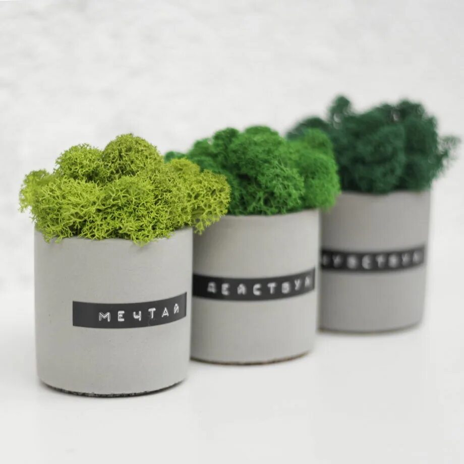 Кашпо буква. Кашпо буква. Интерьерные буквы из дерева. Буква в как ваза. Объемные боксы из цветов в коррбке.