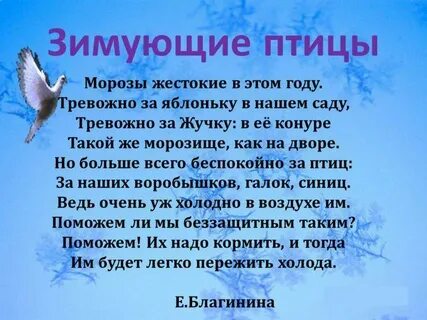 Короткие стихи про птиц
