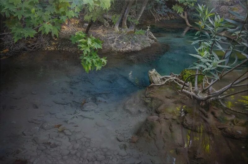 Стен тихая вода. Козел в воде. На тихом воде черти.