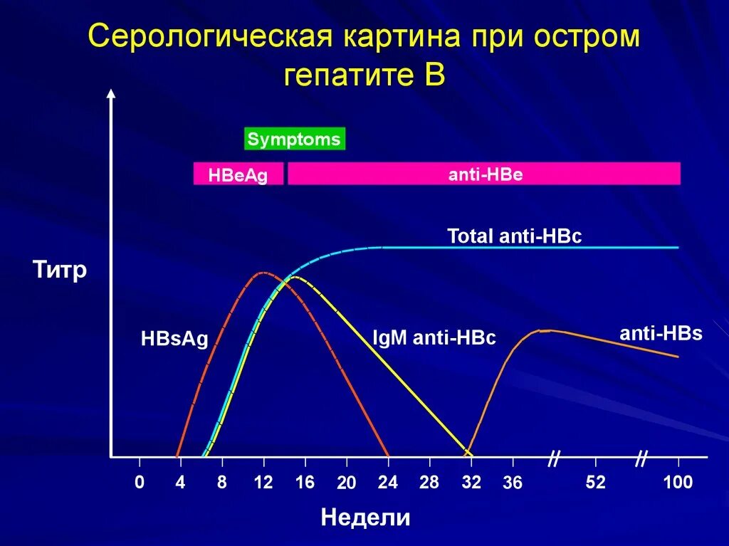 Серонегативное окно при вич. Серологическое окно при гепатите в. Серологический профиль хронического гепатита в. Серонегативное окно при гепатите с. Период серонегативного окна при ВИЧ.