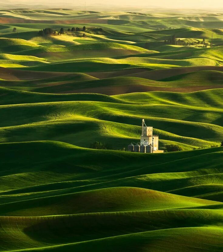 Rolling hills. Пейзаж холмы. Пейзаж холмов. Красивые холмы. Холмы фото.