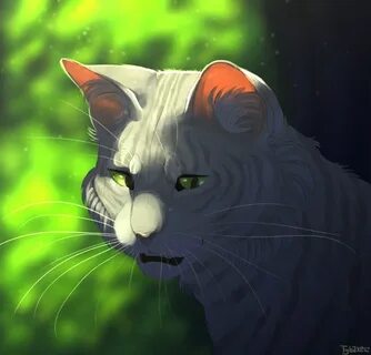 Коты воители расколотое