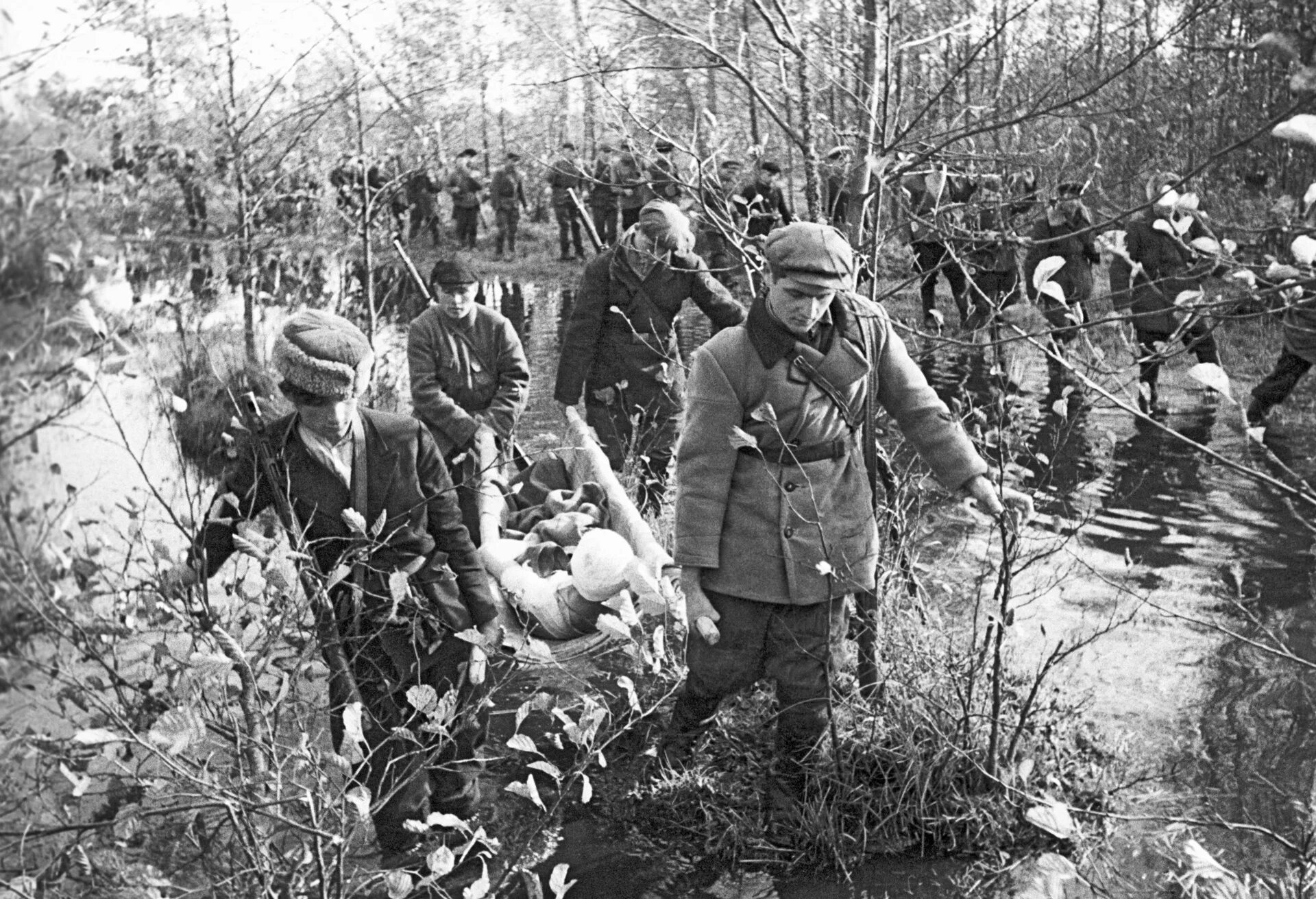 Лес у володи. Белорусские Партизаны 1943. Партизаны Белоруссии 1941. Партизаны Беларуси в годы ВОВ.