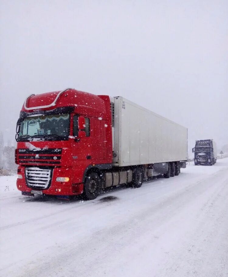 Дальнобой 2020. Дальнобой 2020. Картинки дальнобойщиков. Renault truck r 2019. Дальнобой 2020.