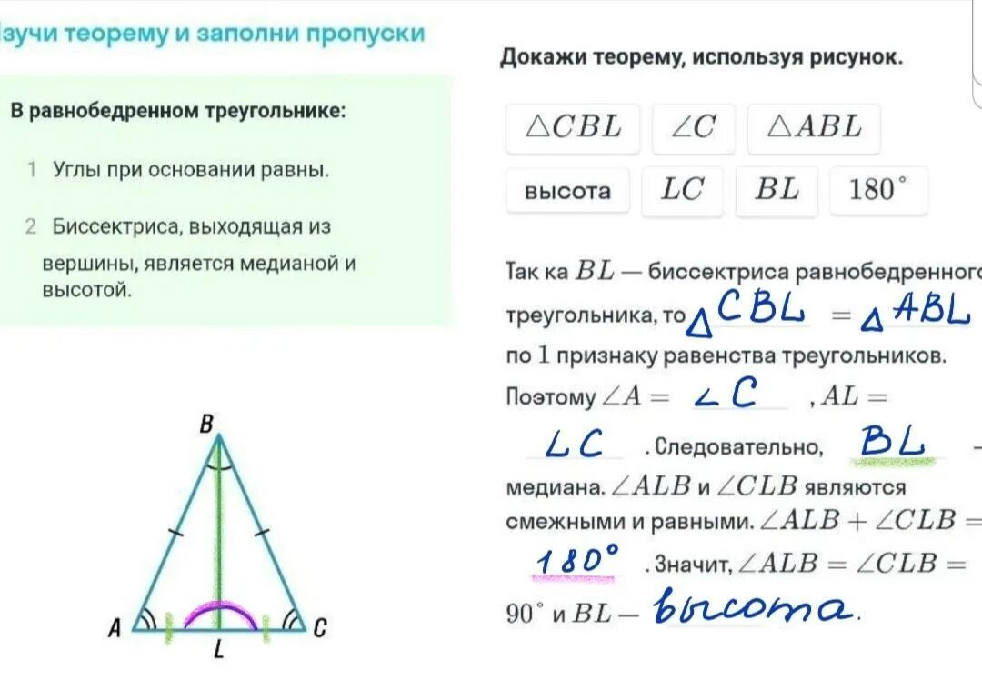 Углы равнобедренного треугольника равны почему. При основании равнобедренного треугольника. Биссектриса в равнобедренном треугольнике. Биссектриса и высота в равнобедренном треугольнике. Равнобедренный треугольник Медиана биссектриса и высота.