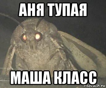 Маша дура