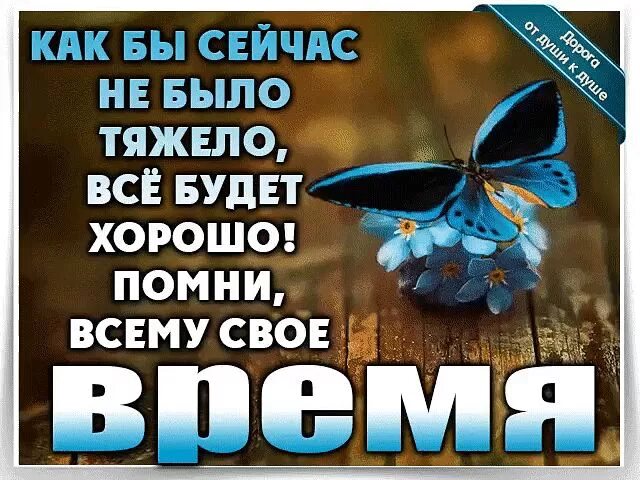Пусть бывало нелегко