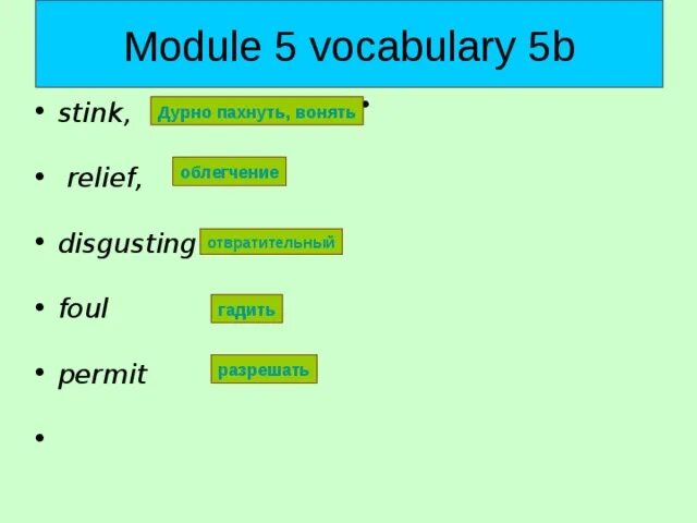 Module 5. Спотлайт 9 класс модуль 5 лексика. Spotlight 10 Module 5b. Module 10 Spotlight 5.