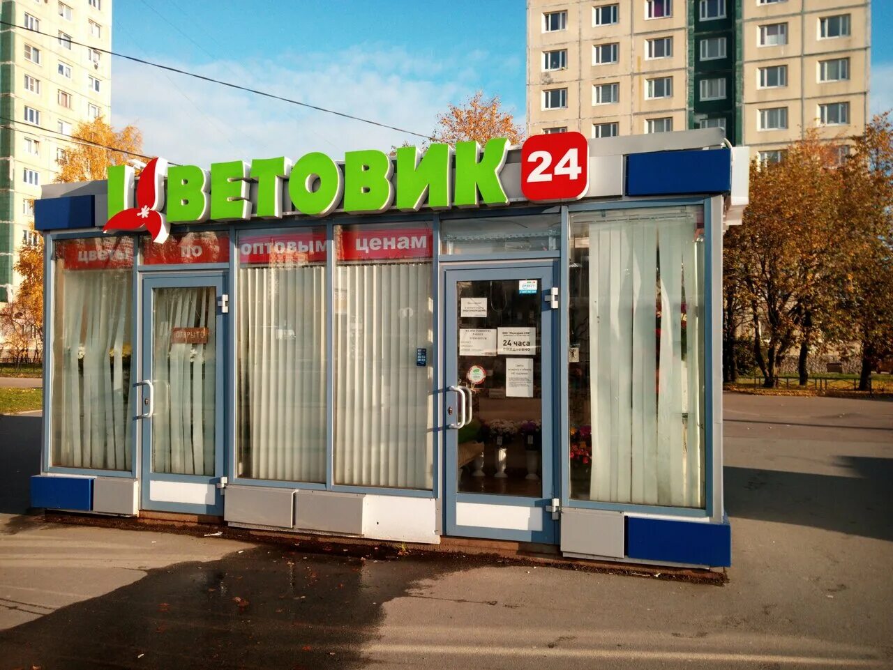 цветовик. цветовик спб адреса. цветовик спб адреса. цветовик спб. цветочный магазин санкт-петербург.
