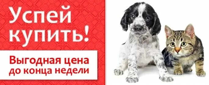 Конец рабочего дня приколы. Можно до конца недели. Можно до конца недели. Можно до конца недели. Осуществит ее мечту.