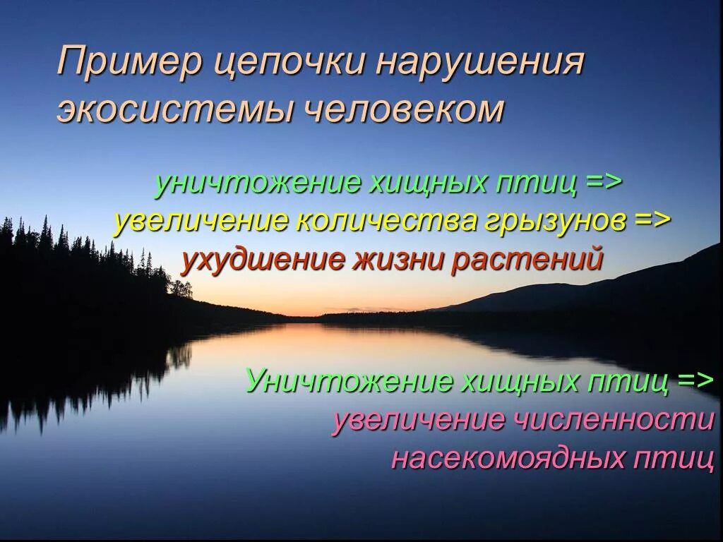 В чем опасность нарушения связей в экосистеме. Нарушение экосистемы. Человек нарушает экосистему. Нарушенная экосистема. Влияние человека на биогеоценоз.