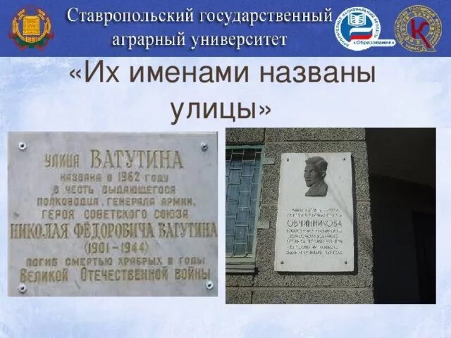 Улица названа в честь учебного заведения. Назови улицы которые в честь имен. Улица Фрунзе в честь кого названа. Памятный комплекс «их именами названы улицы города» Прокопьевск.