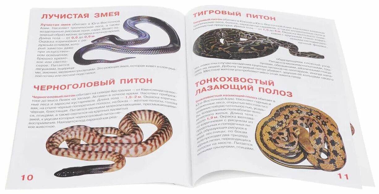 Книга про змея