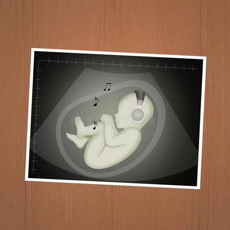 Эмбрион слушать. Эмбрион слушать. Эмбрион слушать. Человеческий плод 8 недель. Послушать мой плод.