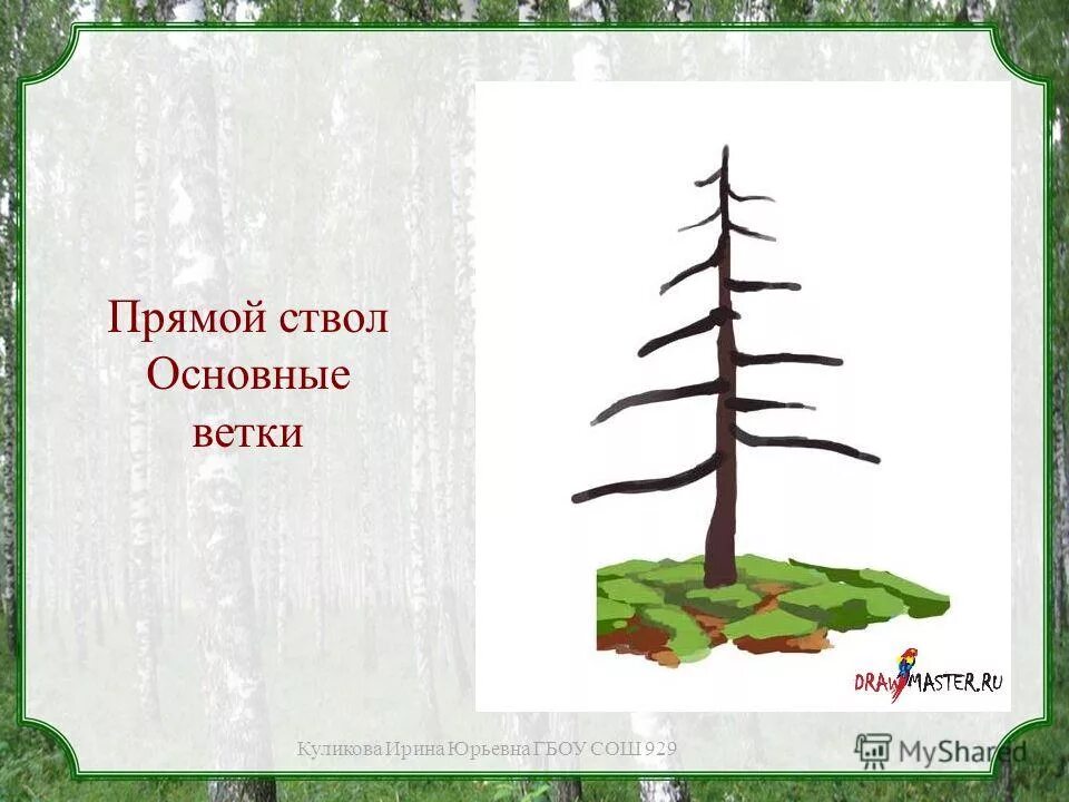 Была белая и седая пришла зеленая молодая. Прямой ствол дерева. Дерево с высоким и прямым стволом. Загадка дерево без веток.