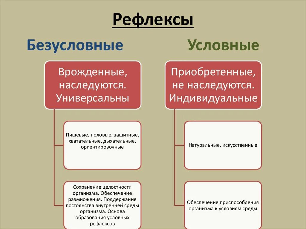 Почему возникает рефлекс