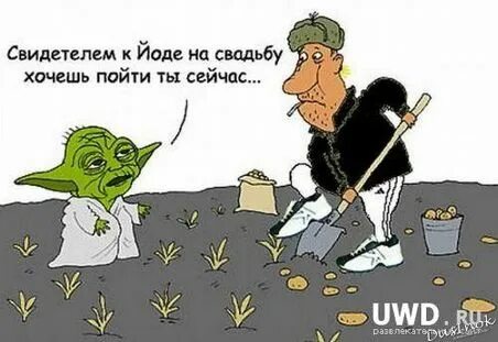 Хочется йода