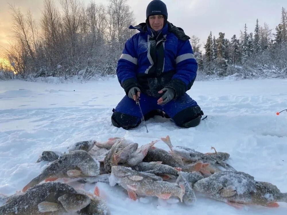 Зима клев рыбы. Зимняя рыбалка. Зимний клев. Зимняя рыбалка 2021. Зимняя рыбалка на Оби.