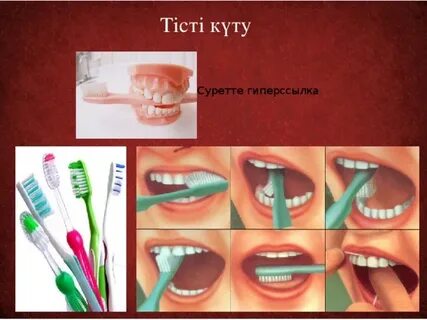 Мүйізді қызыл кисканың порно видеосы