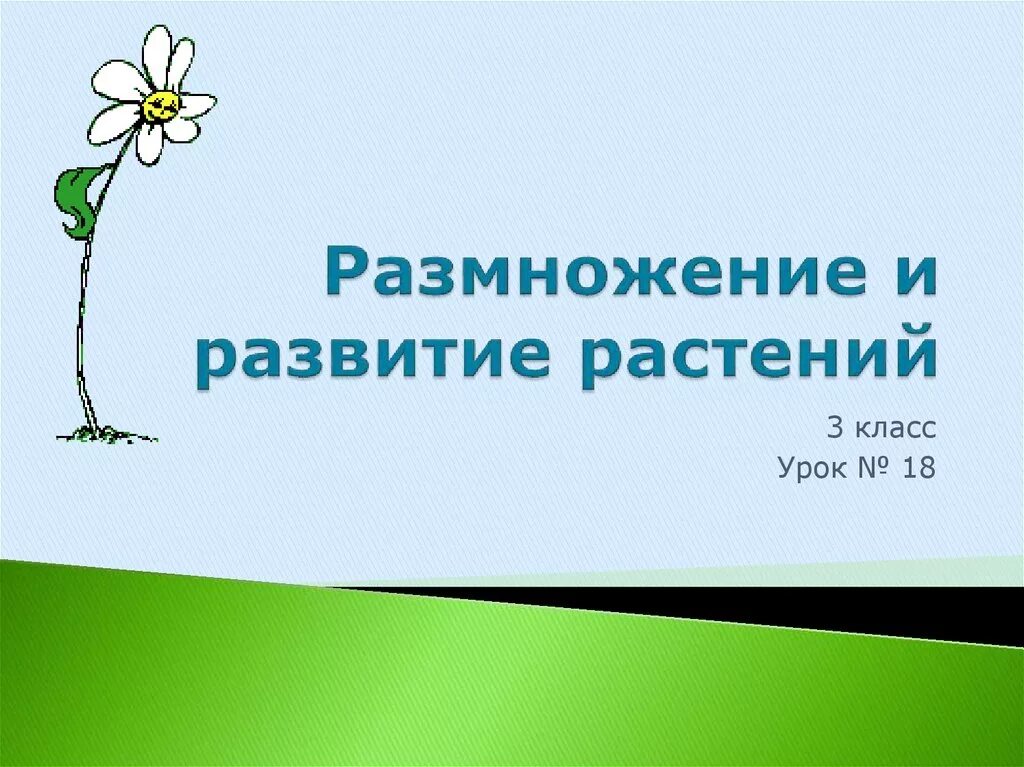 Размножение и развитие растений. Размножение растений 3 класс. Развитие растений 3 класс. Размножение и развитие растений 3 класс.