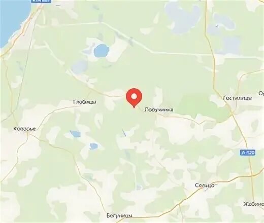 Старый петергоф ломоносов автобус