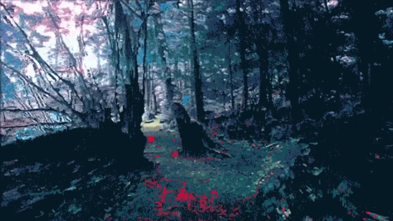 Animated forest show