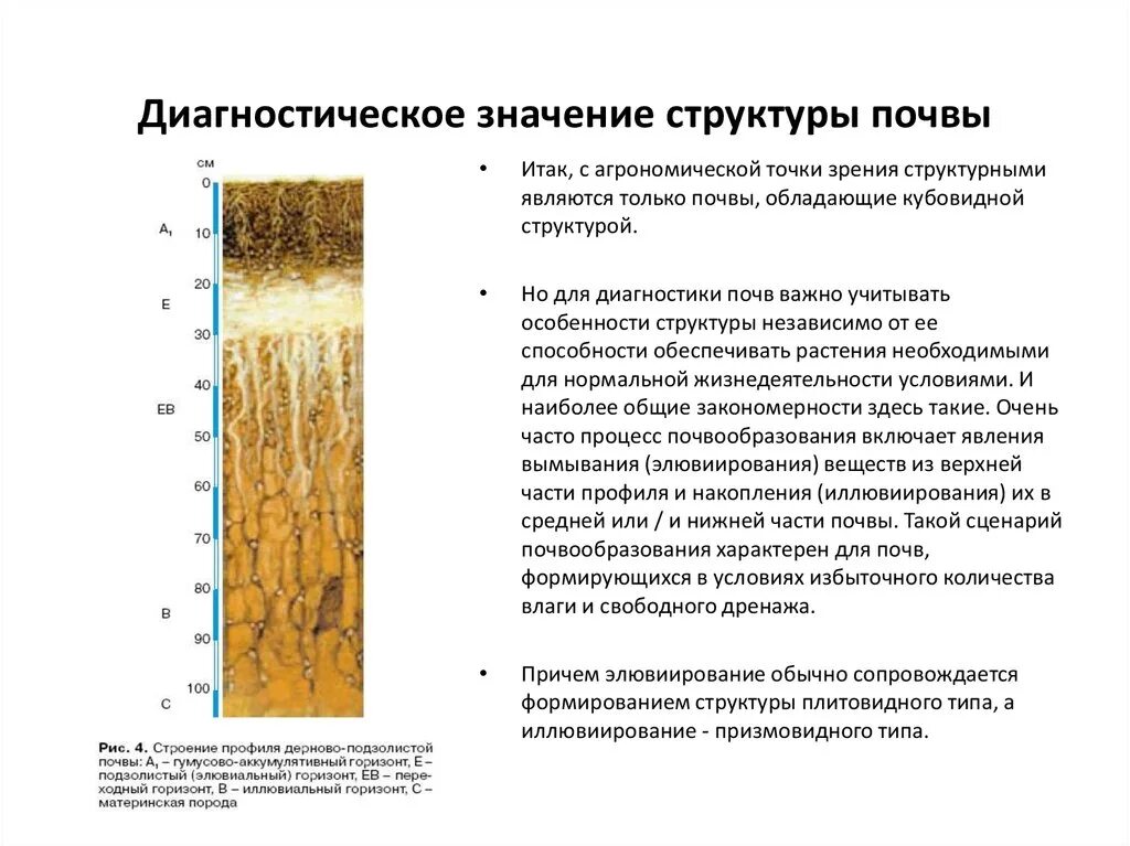 Плитовидная структура почвы. Призмовидная структура почвы. Плитчатая структура почвы. Агрономически ценная структура почвы. Почвы формируется в условиях избыточного увлажнения