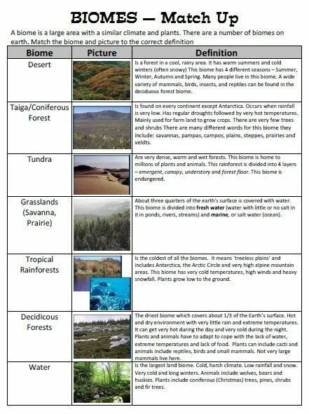 Злаковник. Rural environment. Арк «зелёный сквер», бараул. Biomes for kids. Кроссворд по английскому языку 5 класс.