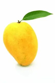 Viral mango