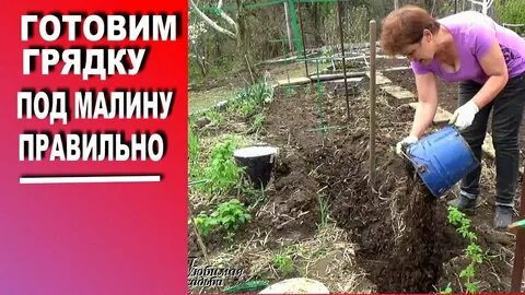 Под малиновым