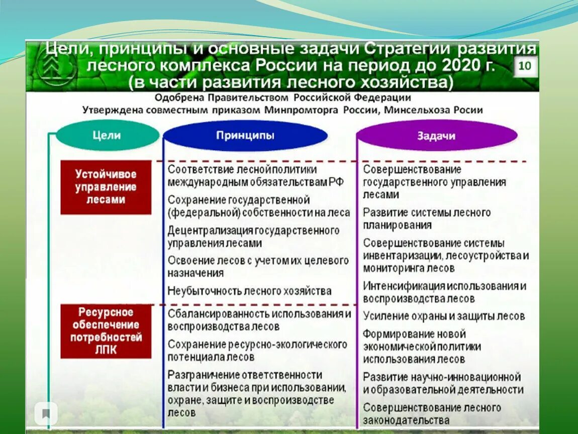 Основные инструменты лесной политики национального уровня. Политика определение. Цели государственной лесной политики. Лесная политика. Принципы лесной политики.