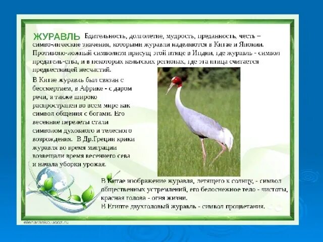 Журавлик символ чего. Журавль символ. журавль значение. журавль символ чего. значение журавлей в природе.
