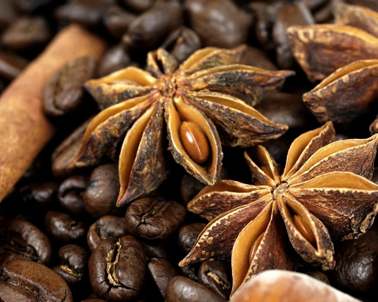 анис (бадьян). ваниль анис. ваниль анис. бадьян звездчатый. ваниль (vanilla) специя.