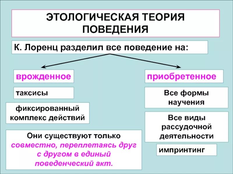 Общая теория поведения. Этологическая теория Лоренца. Этологическая концепция инстинктивного поведения. Биологическая концепция (к. Лоренц).. Теория поведения Лоренца.