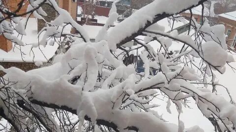 Похолодание в ростове на дону