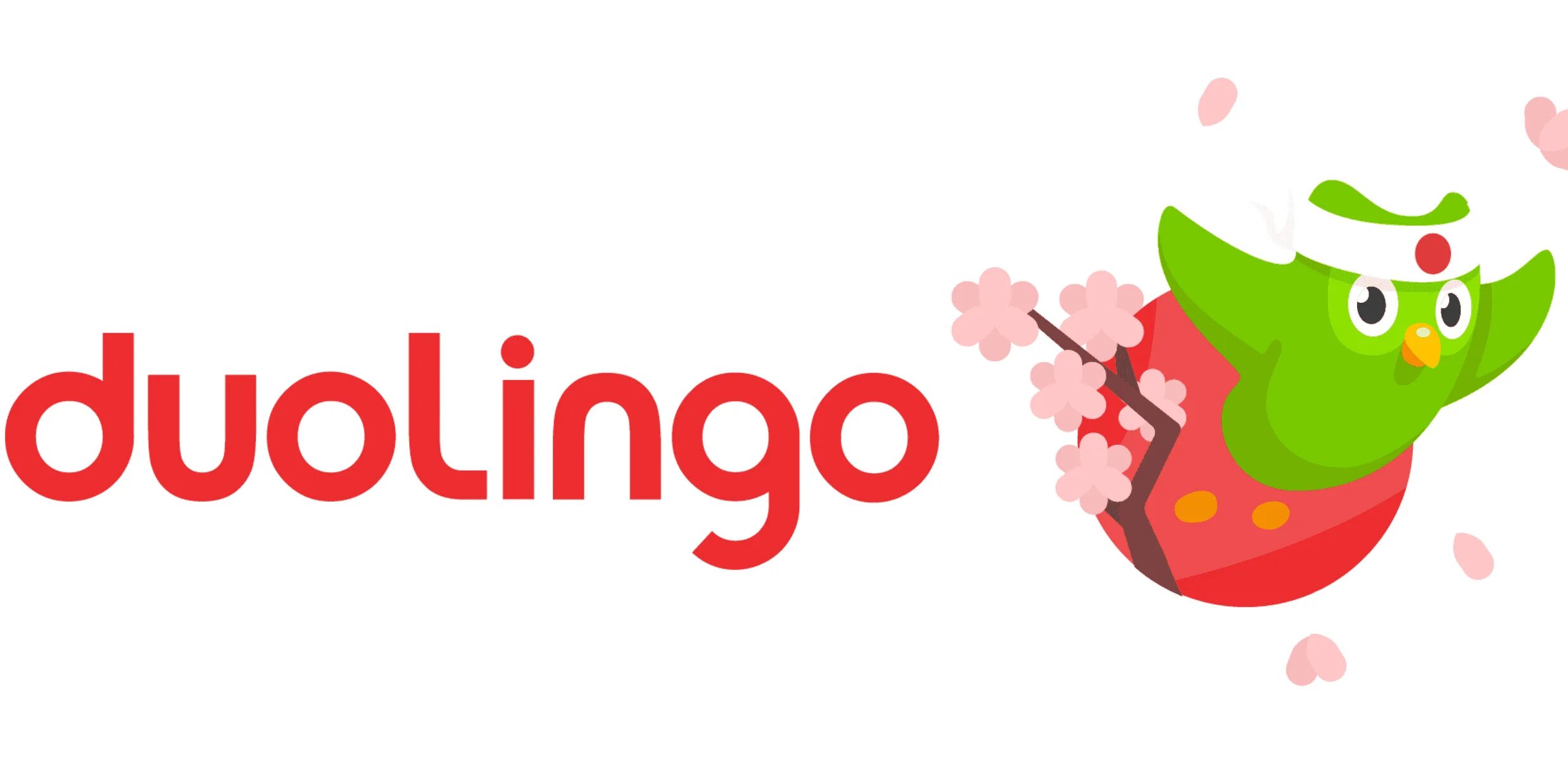 Https duolingo com. Дуолинго. Дуолинго языки. Значок Дуолинго. Duolingo без фона.