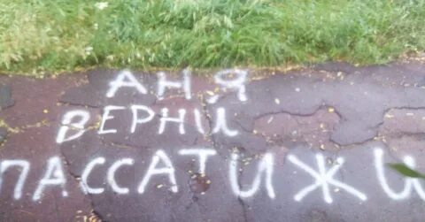 Серенькие крякают а я анечку
