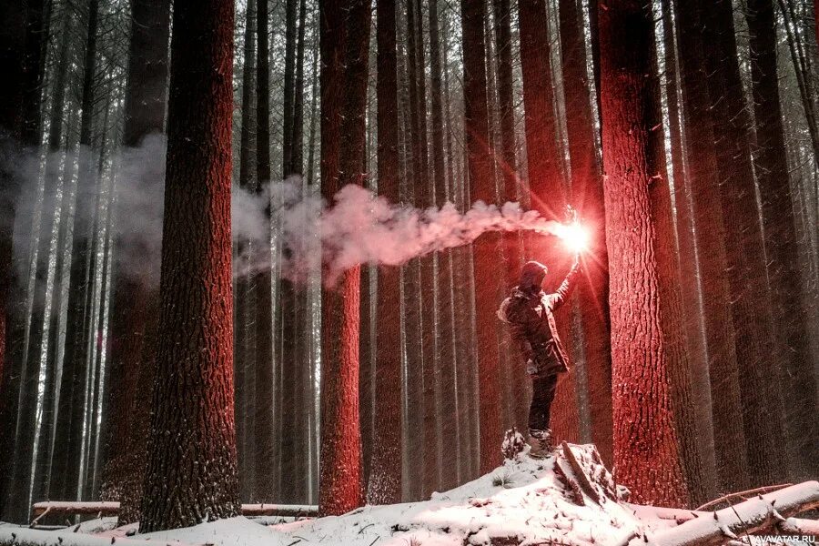 Факел в лесу. Фотосессия с факелами. Факел в ночном лесу. Дым в лесу. Сквозь лес и дым геншин